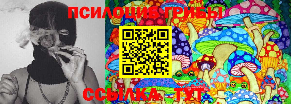 Псилоцибиновые грибы мицелий Зерноград