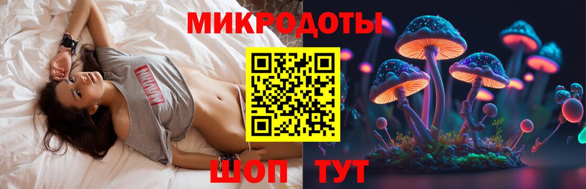 Галлюциногенные грибы ЛСД  Вход с VPN  Зерноград  Галлюциногенные грибы мицелий 